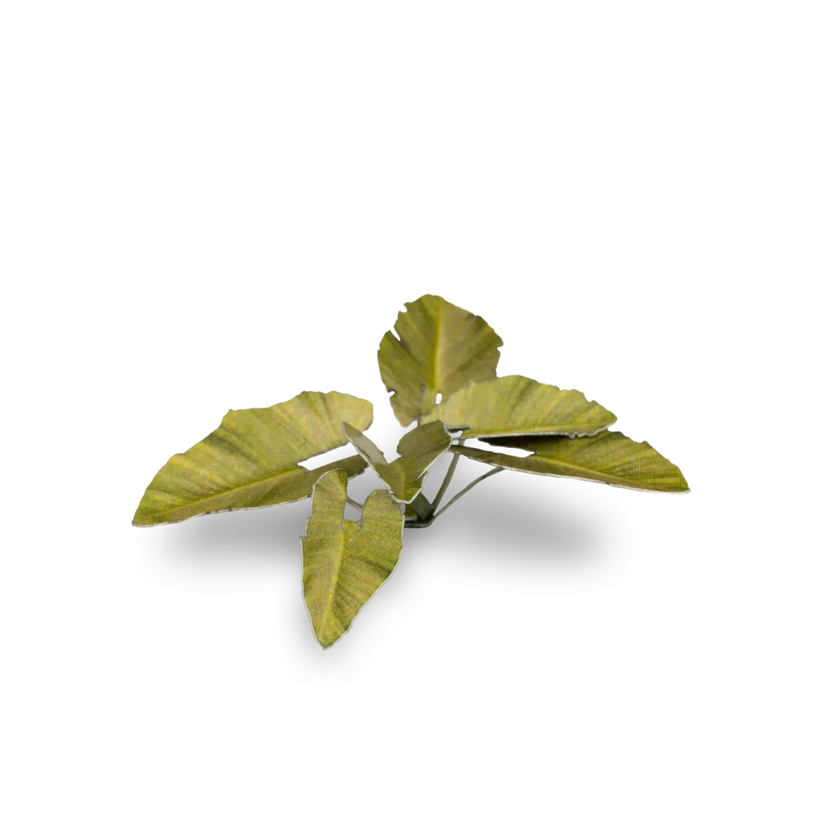 Gamer Grass - Elephant Ear