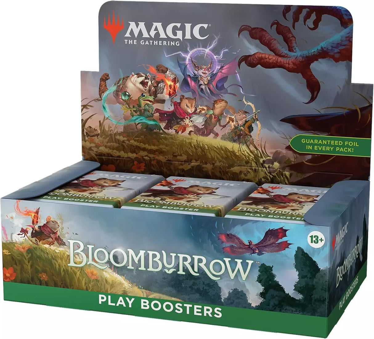 Magic - Display - Bloomburrow - ENG