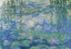 Puzzle Les Nymphéas de Claude Monet - 1000 p.
