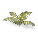 Gamer Grass - Bracken