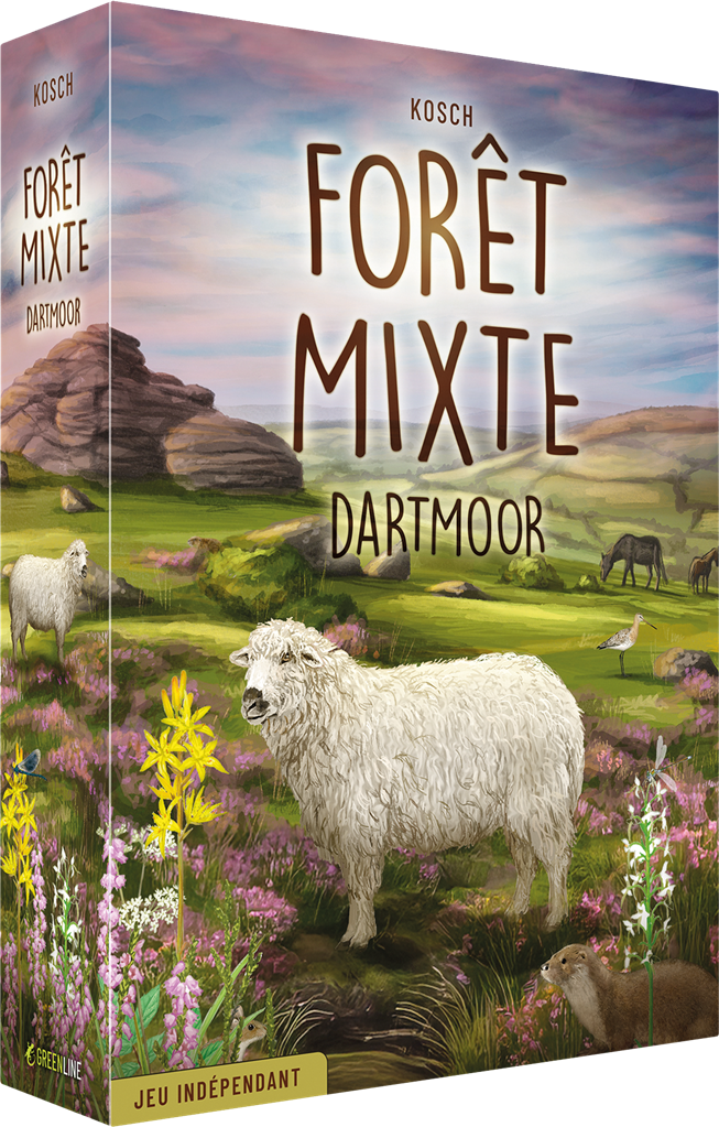 Forêt Mixte - Dartmoor