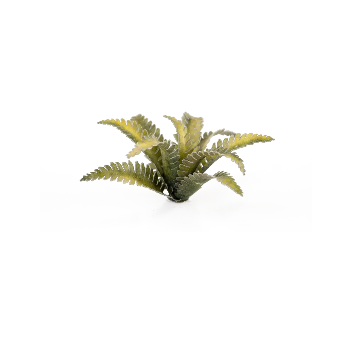 Basing Bits - Deer Fern