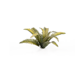 Basing Bits - Deer Fern