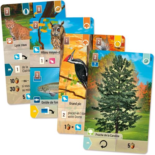 Forêt Mixte (Forest Shuffle) : Smoky Mountains