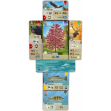 Forêt Mixte (Forest Shuffle) : Smoky Mountains