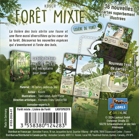 Forêt Mixte - Lisière de forêt