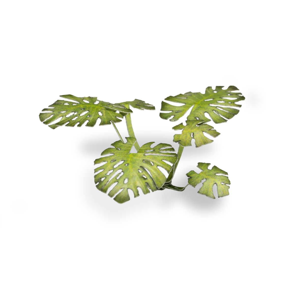 Gamer Grass - Monstera