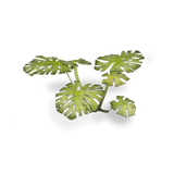 Gamer Grass - Monstera